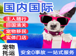三亚机场邮寄国际宠物托运 【国